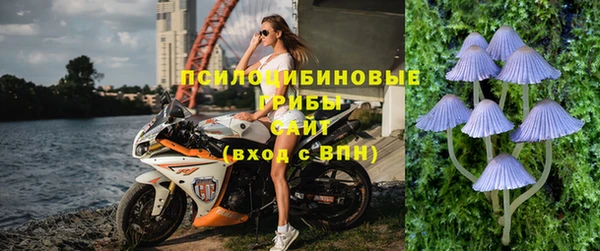 jwh Аркадак