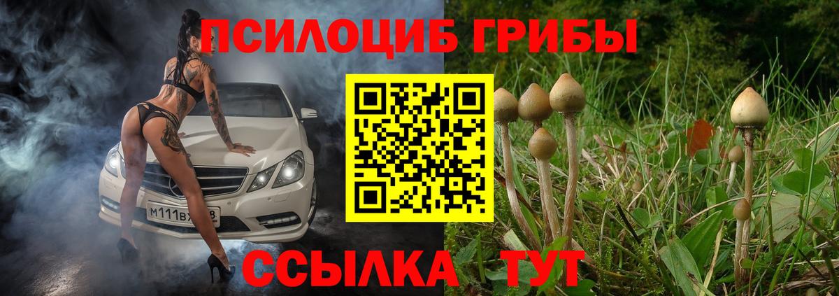 купить закладку  Псилоцибиновые грибы мицелий  Вход с VPN  Еманжелинск 